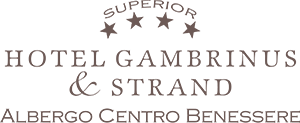 Hotel Gambrinus Cervia